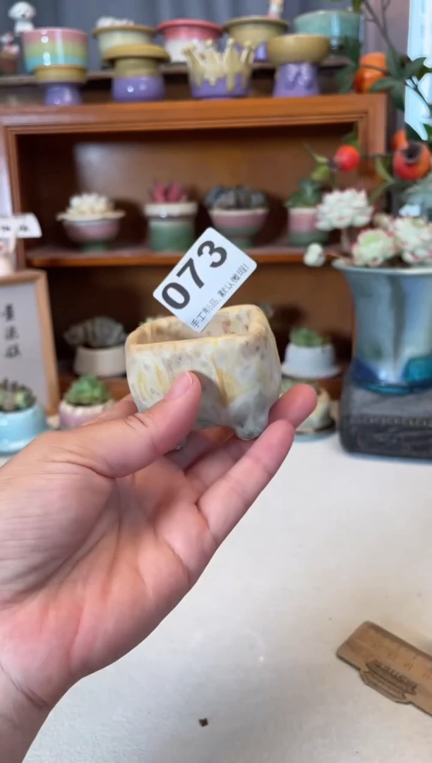 瓷片073知木小芳花盆