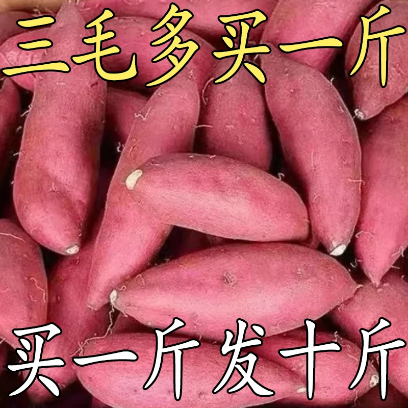 【今日特价】超甜正宗黄心蜜薯板栗薯地瓜新鲜蜜薯蔬菜烟薯