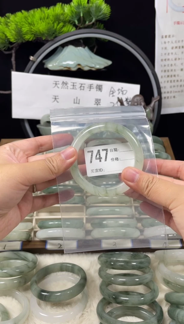未镶嵌手镯石英质玉（天山翠）747