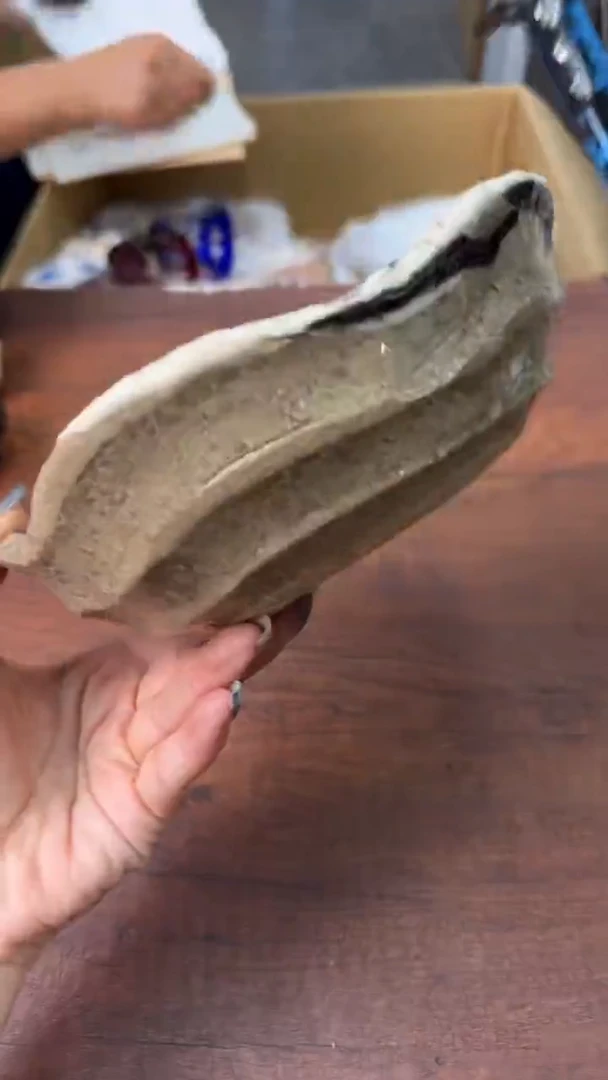 用****8最好的再见是明天见