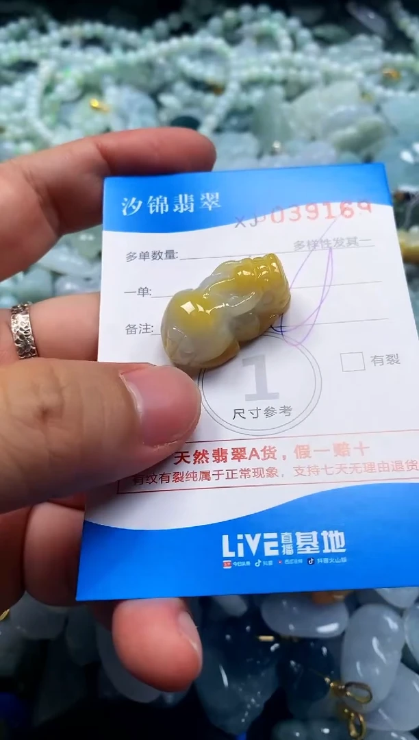 颈饰未镶嵌翡翠闪购商品0039169