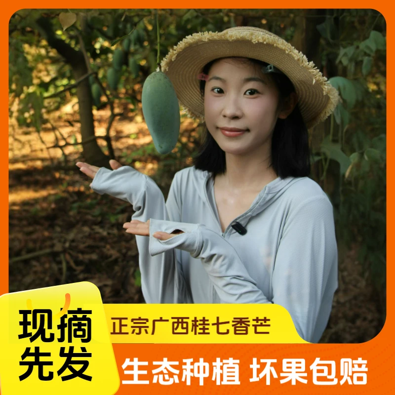 【正宗百色桂七芒】广西田东桂七芒果应季水果甄选品质产地直发