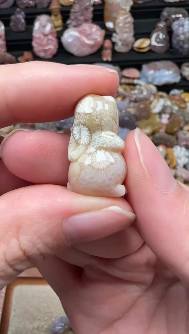 颈饰未镶嵌硅化珊瑚（珊瑚玉）636