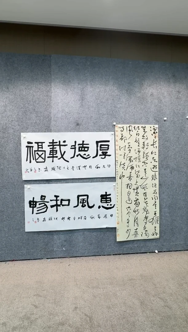 【闪购商品】书法pmw不二轩旗舰店书法ZYS29