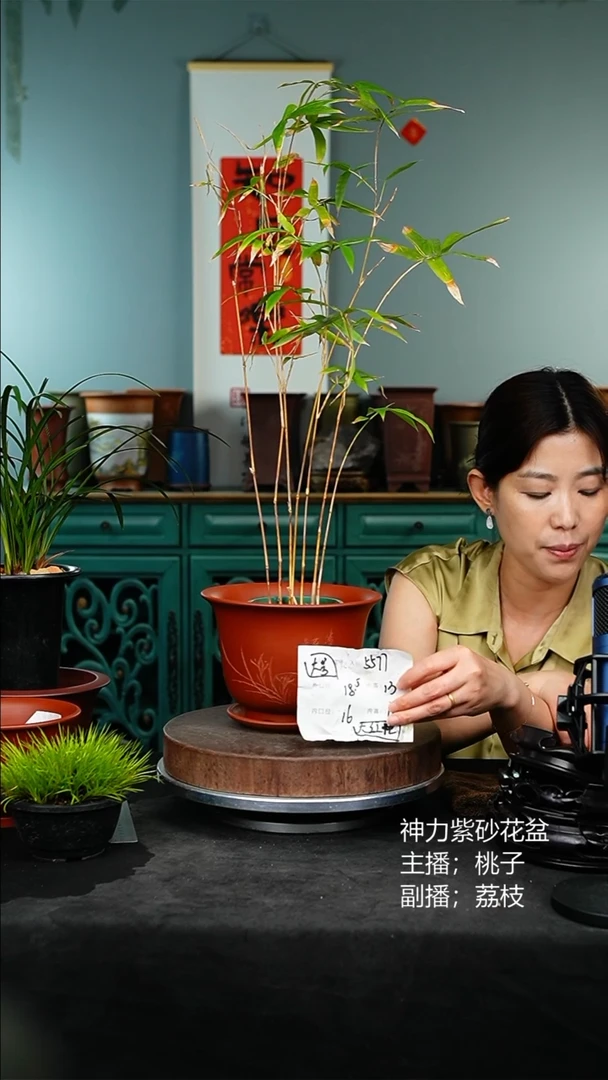 紫砂花盆5577+z紫砂花盆