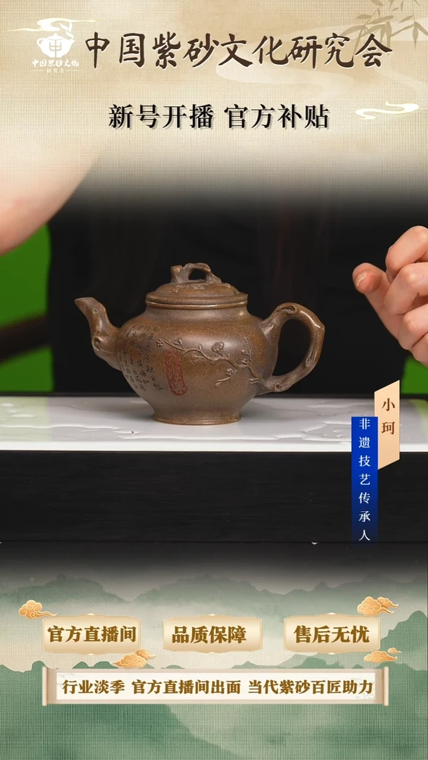 茶壶紫砂陶茶文化鲍              龙背青300cc左右