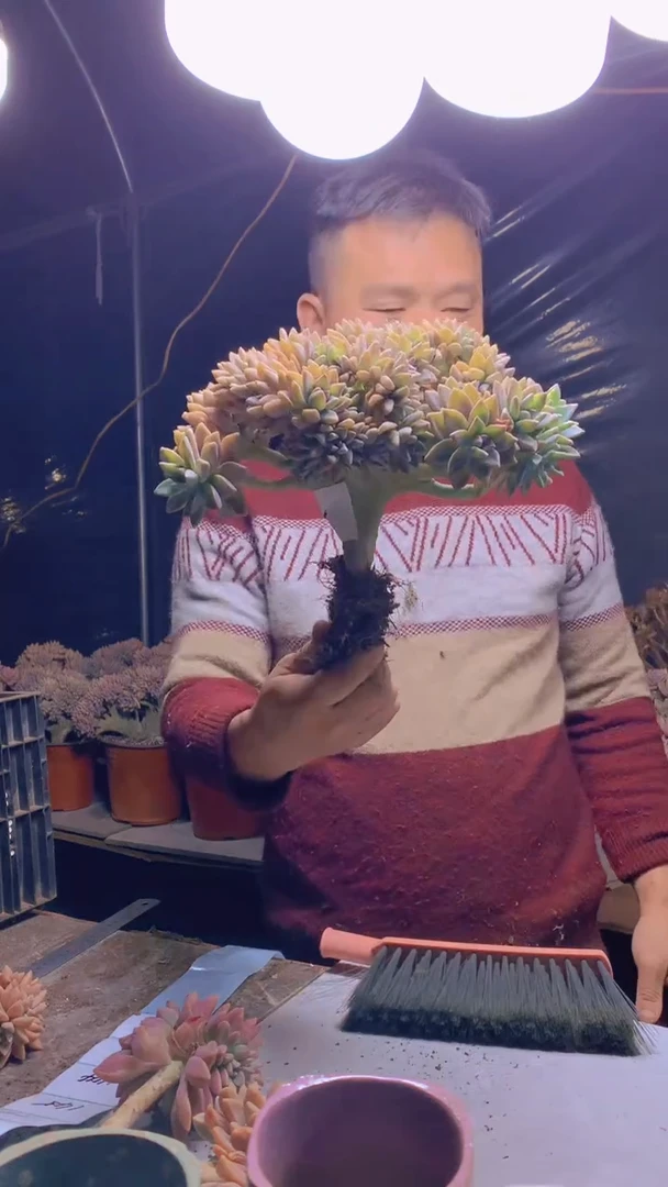 【闪购商品】缀化141