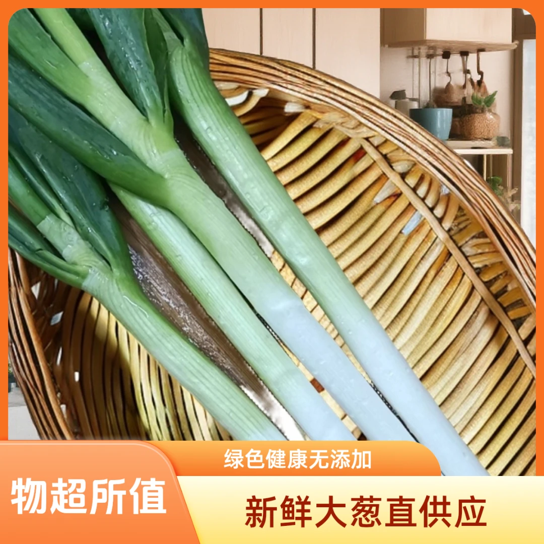 葱葱薤白东北葱黄大葱大葱山东大葱葱头正宗山东大葱