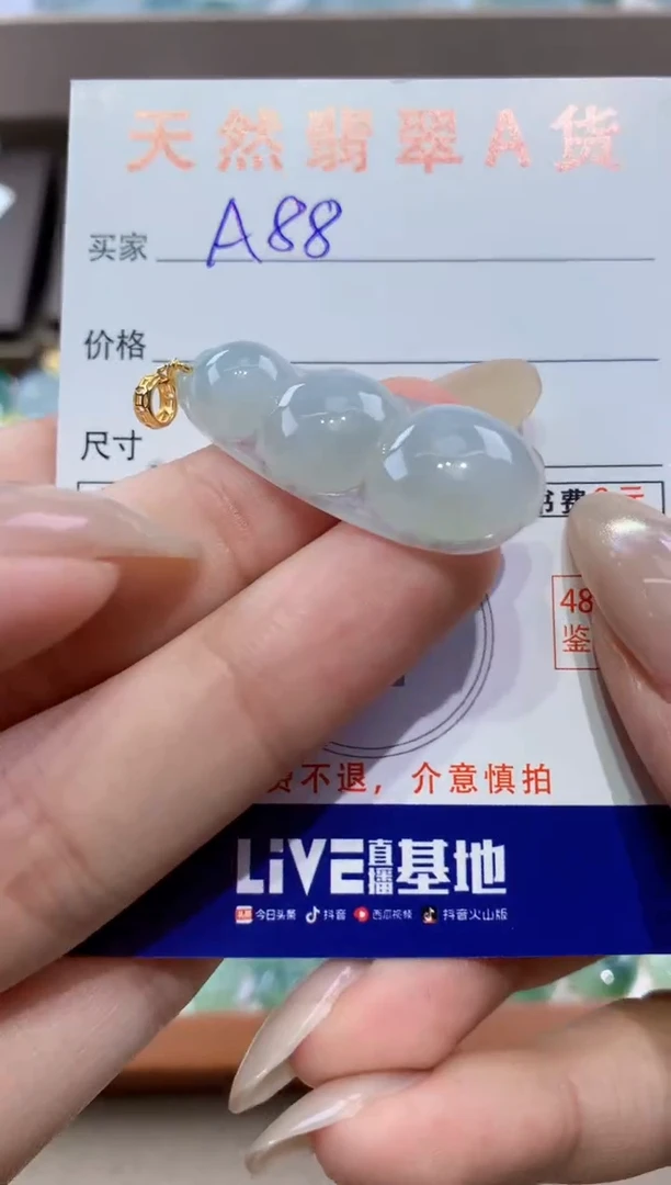 颈饰未镶嵌翡翠天然翡翠A货挂件