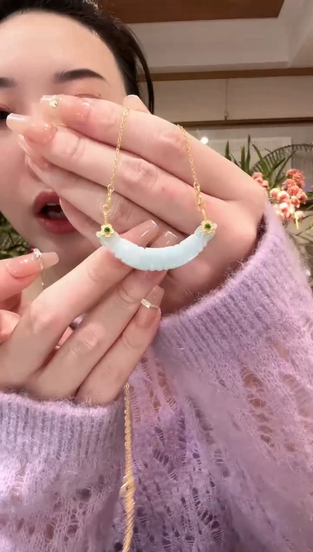 【闪购商品】翡翠颈饰未镶嵌国风