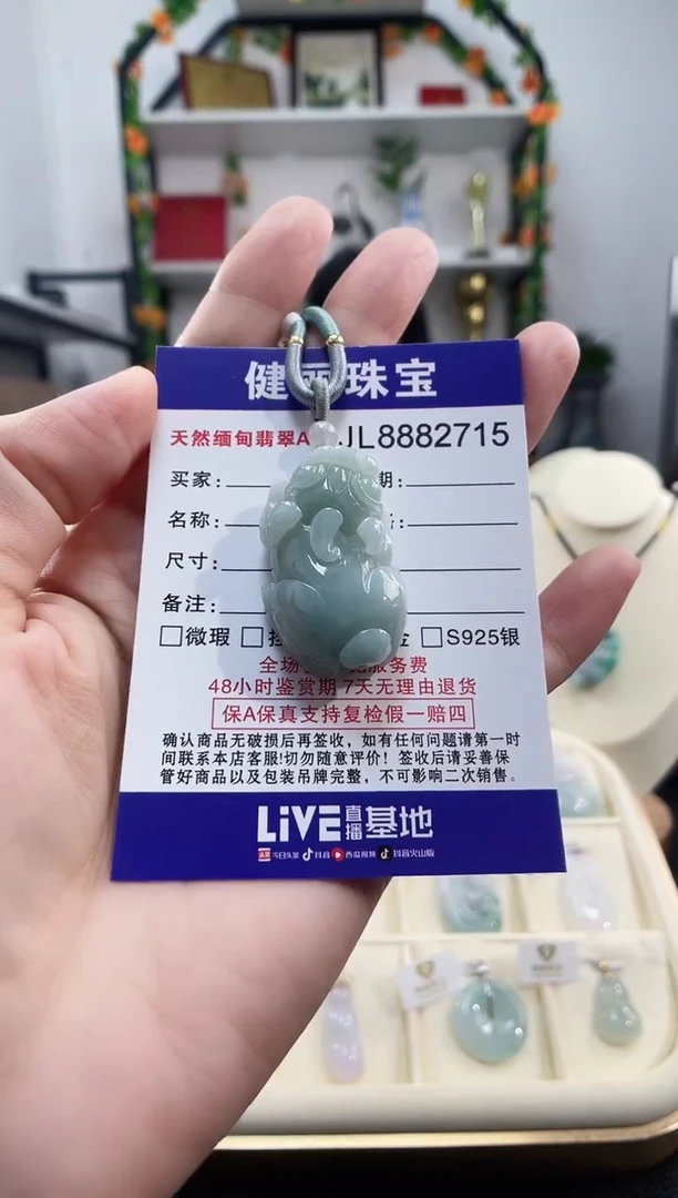 颈饰未镶嵌翡翠天然缅甸翡翠 貔貅(一物一证)