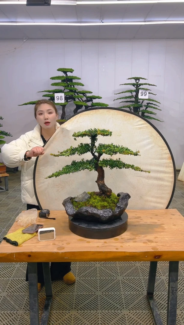 无花朵一物一拍一物一拍
