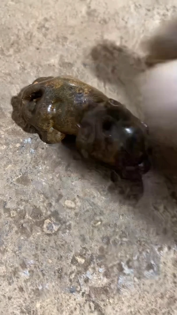 瓷片手工，手绘，陶瓷
