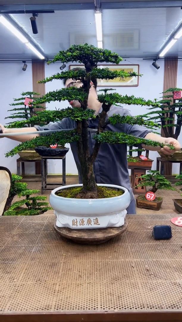 无花朵一物一拍，所见即所得