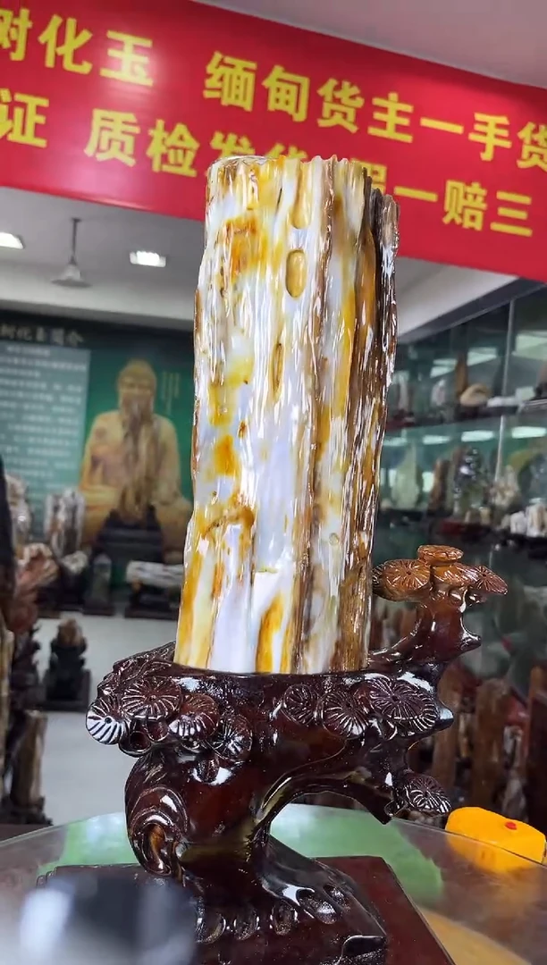 硅化玉珠宝奇石未镶嵌缅甸天然树化玉摆件