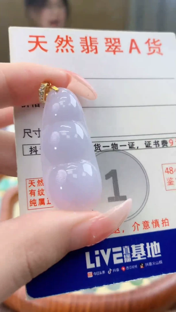 颈饰未镶嵌翡翠天然A货翡翠挂件