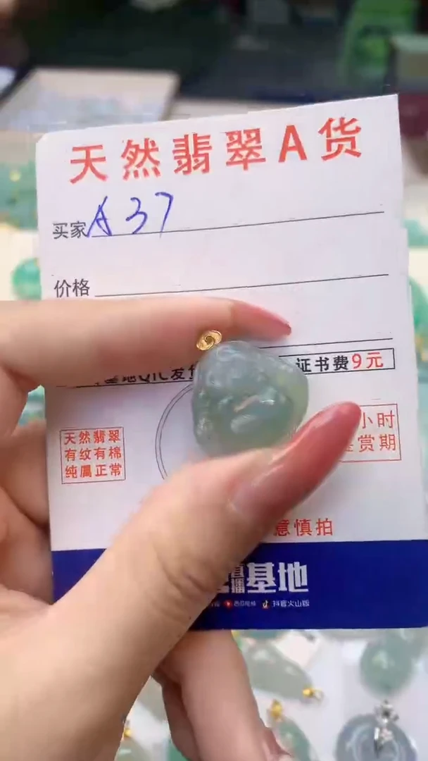 颈饰未镶嵌翡翠天然A货翡翠挂件
