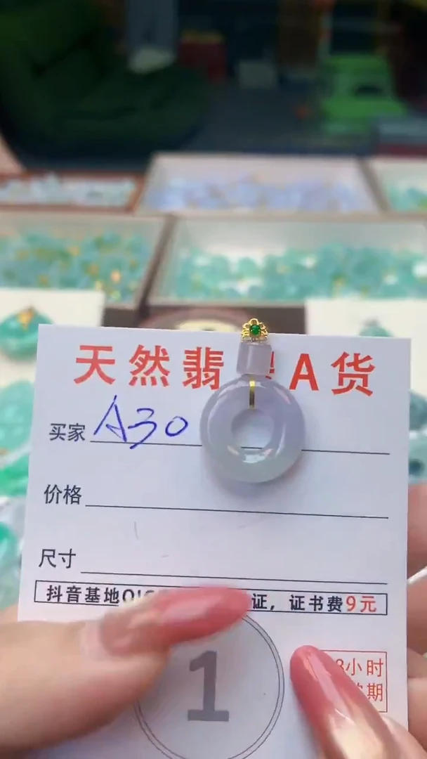 颈饰未镶嵌翡翠天然A货翡翠挂件