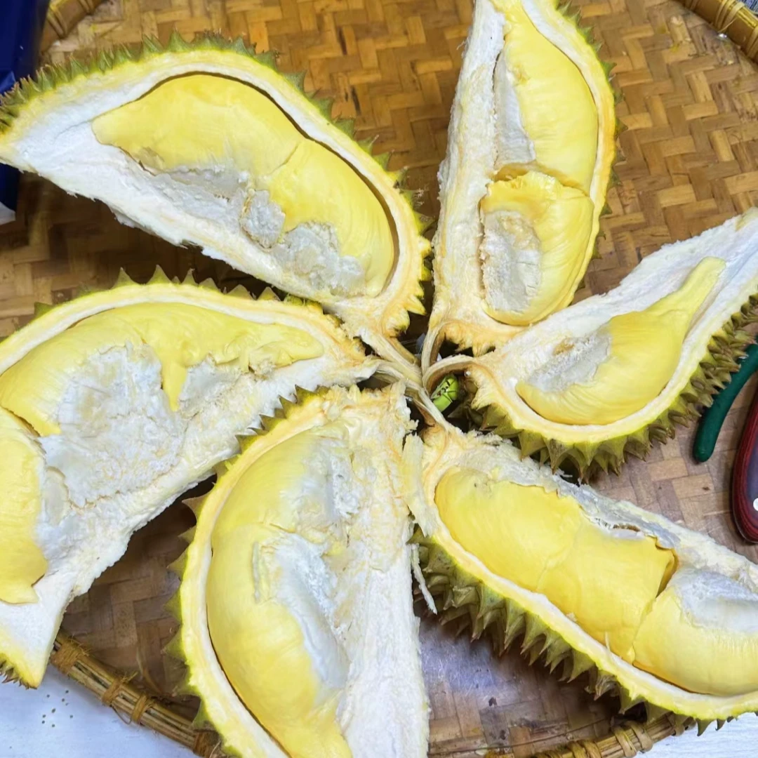整果新鲜核小中斤金枕越南