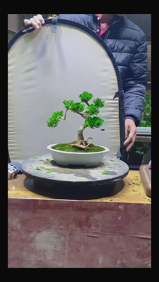 完全开放再****了111111111111