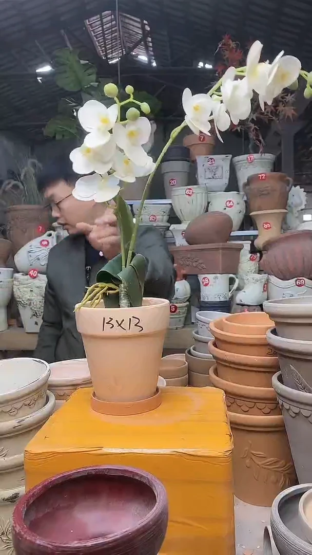 【闪购商品】缸1套13*13（红白）陶玛琪朵送红托