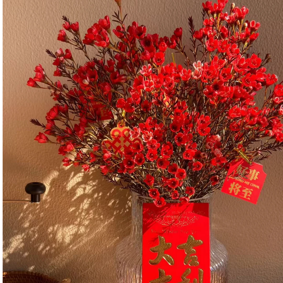 【六哥花卉】 【超级福袋红色腊梅一把】离开无效