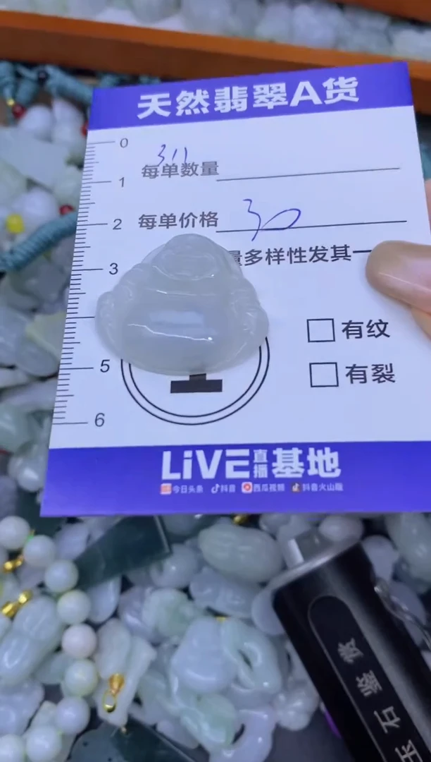 颈饰未镶嵌翡翠天然翡翠A货批量多样性发一件