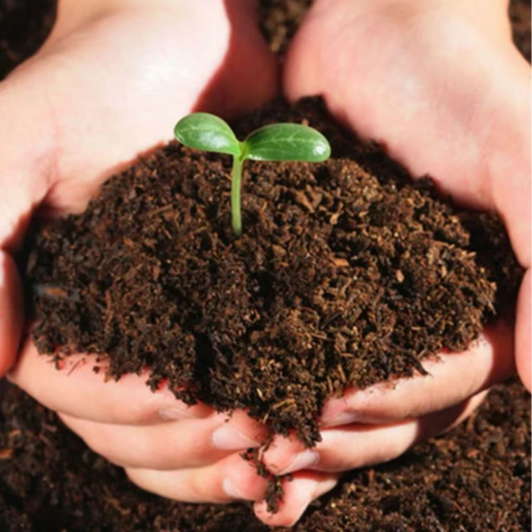 羽衣甘蓝育苗专用配方基质土【进口泥炭+进口椰糠+珍珠岩+肥料】9升