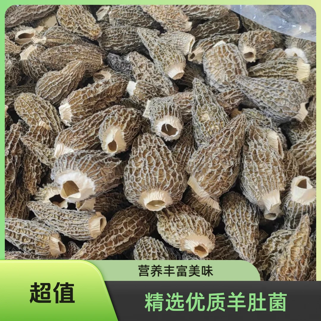 源自山林圆鼓形干羊肚菌 精品煲汤无熏硫