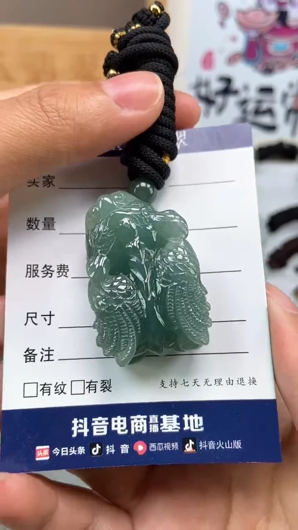 翡翠未镶嵌颈饰安**下飞天貔貅