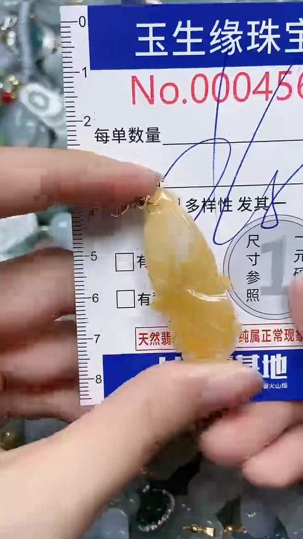 【闪购商品】翡翠颈饰未镶嵌闪购00004563