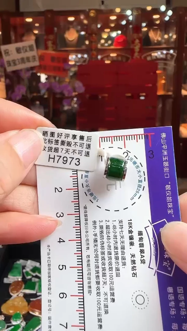 翡翠18K金镶嵌颈饰H7973路路通