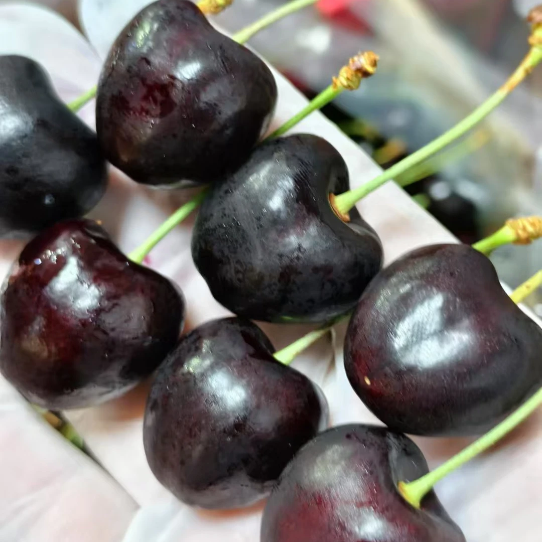 单JD科迪亚5斤原盒车厘子（最好吃的品种）