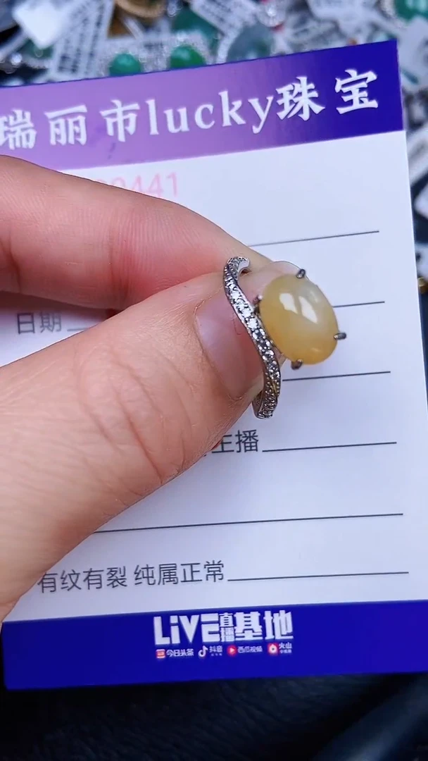 颈饰银S925镶嵌翡翠1411