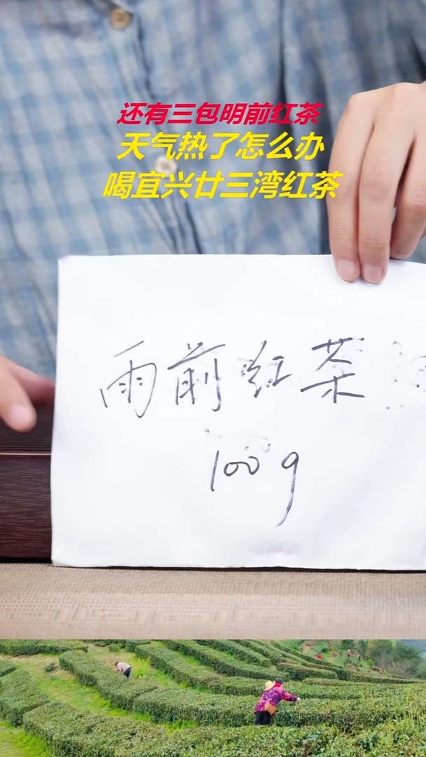 茶杯紫砂雨前红茶777777777777