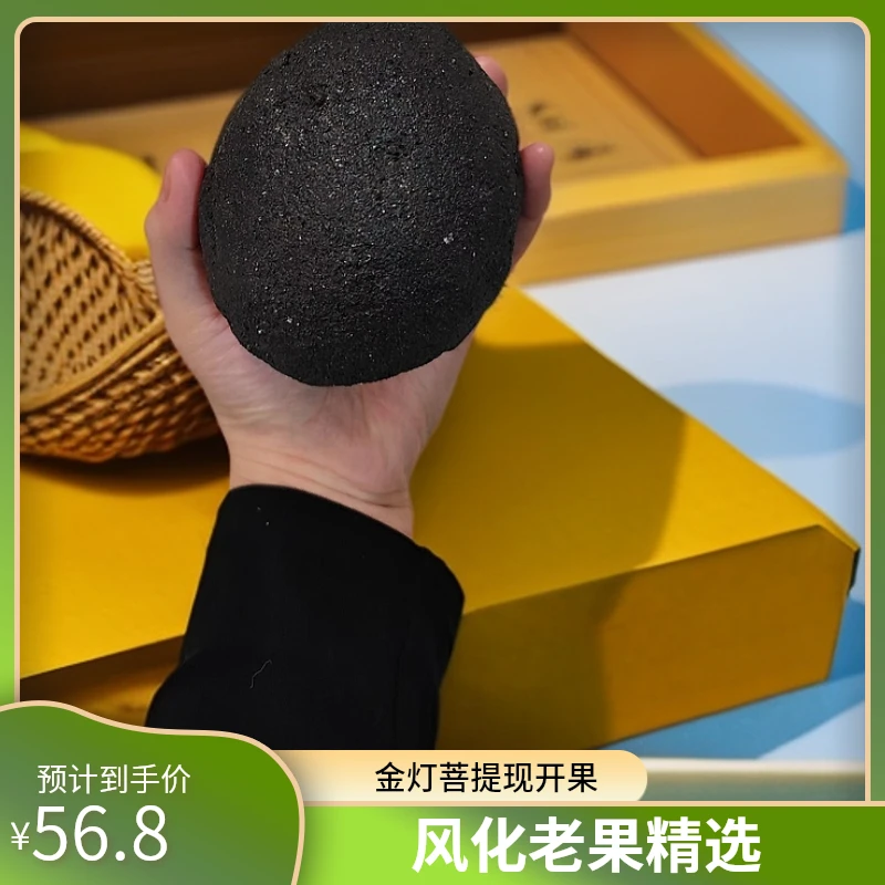 现开金灯菩提果 精选风化老果子  《包邮》