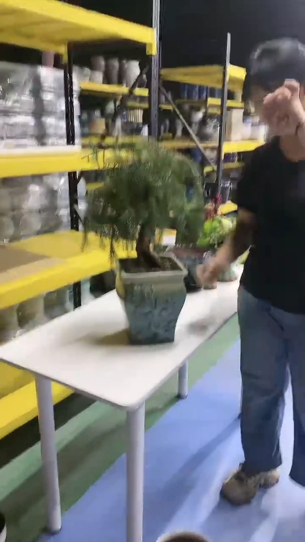 宜兴紫砂粗陶花盆
