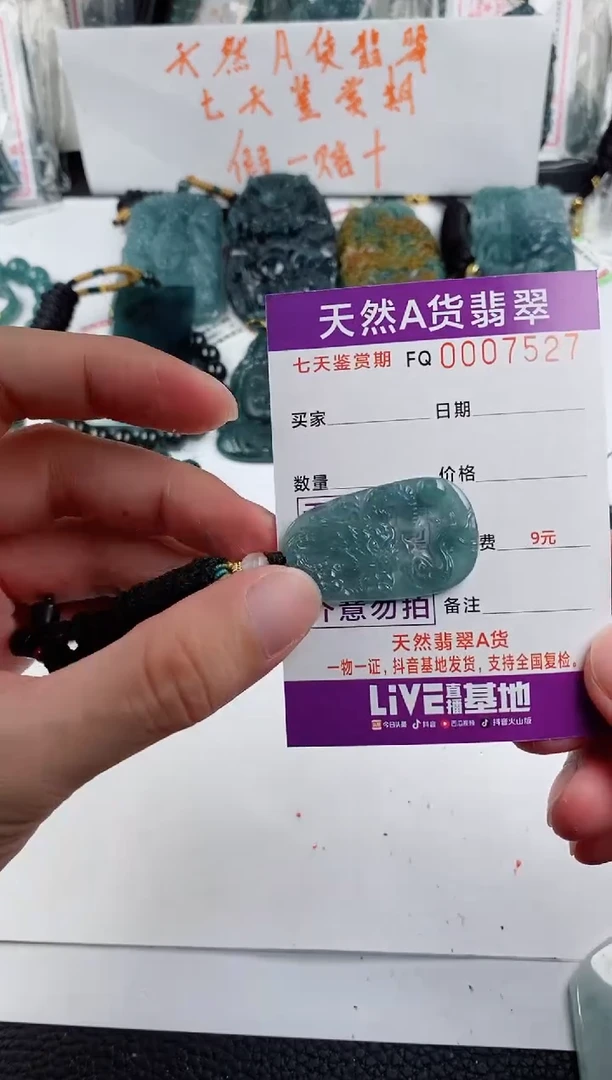 颈饰未镶嵌翡翠 小圆龙牌9.9