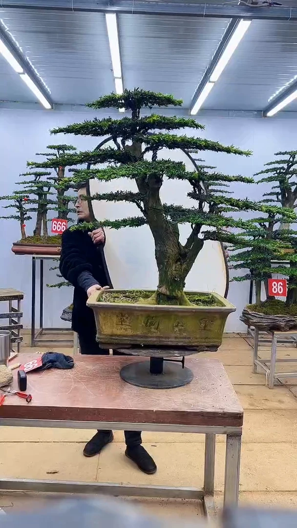 【闪购商品】一物一拍，所见即所得