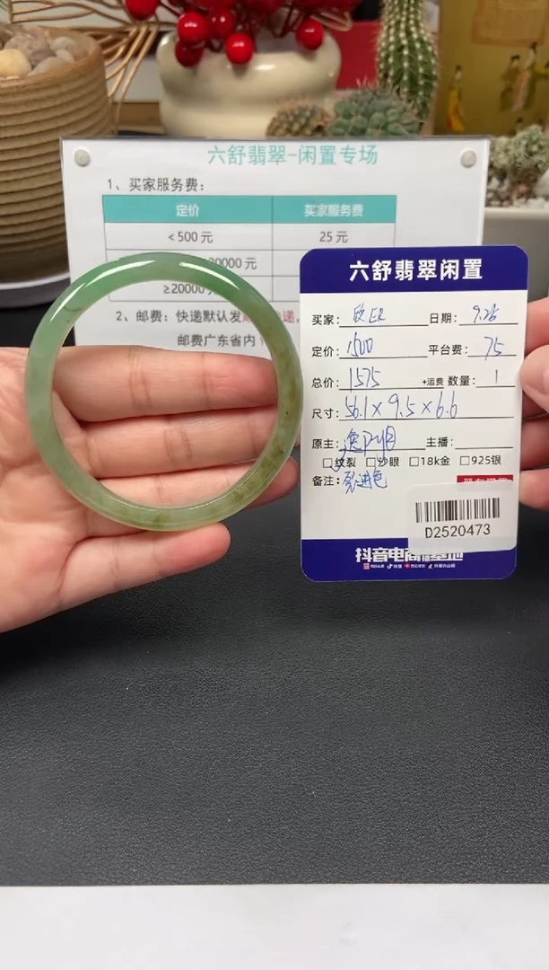 未镶嵌手镯翡翠欣****?D2520473