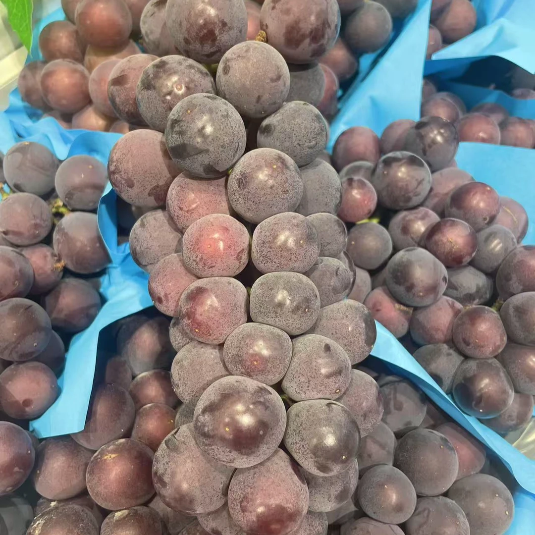 巨峰葡萄一串（1.1-2斤）浙江省