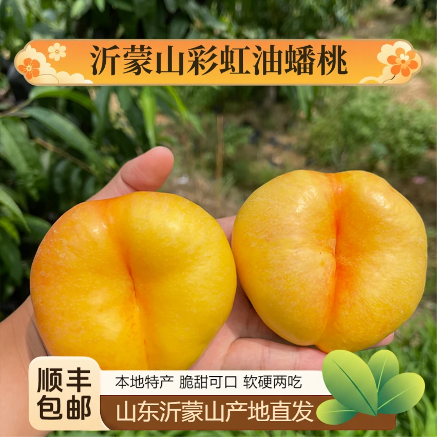 【达人专属】沂蒙山彩虹蟠桃山东特车应季时令水果2斤/3斤/4斤装