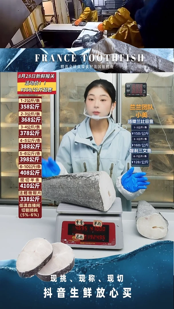 法国银鳕鱼大下半4.69kg
