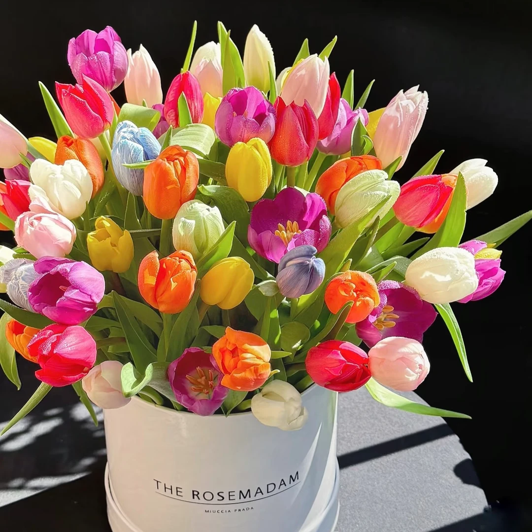 【混色郁金香   10支】  任意2单升级顺丰/德邦