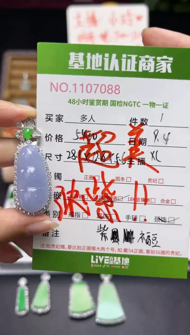 吊坠(不含链)银S925镶嵌翡翠多人