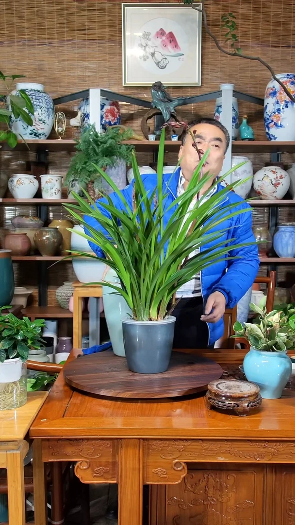 无花朵m**o水之韵水培韩国小姐不带瓶