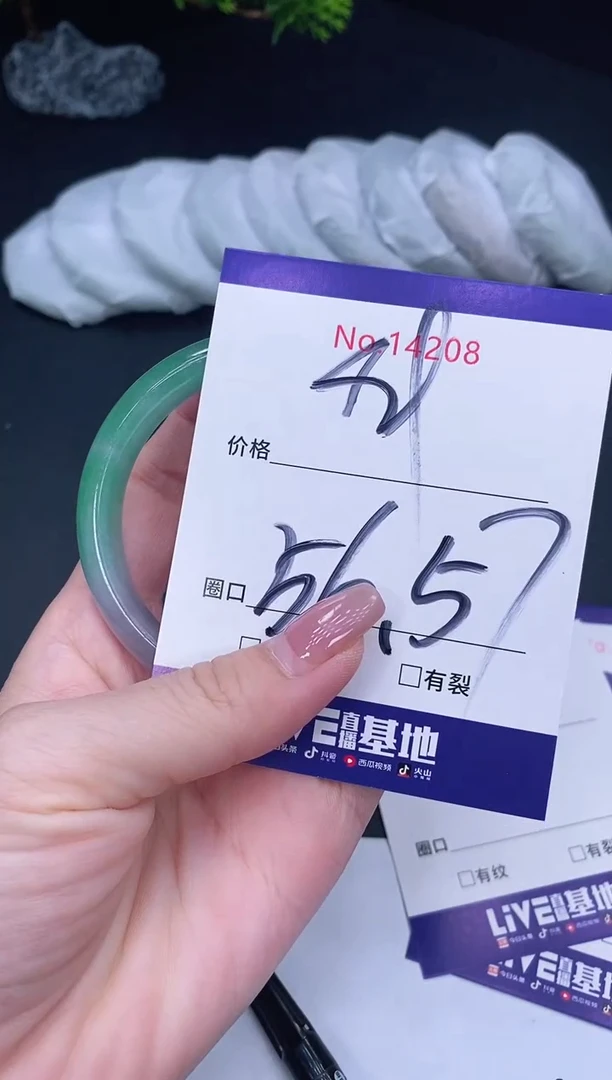 未镶嵌手镯翡翠14208