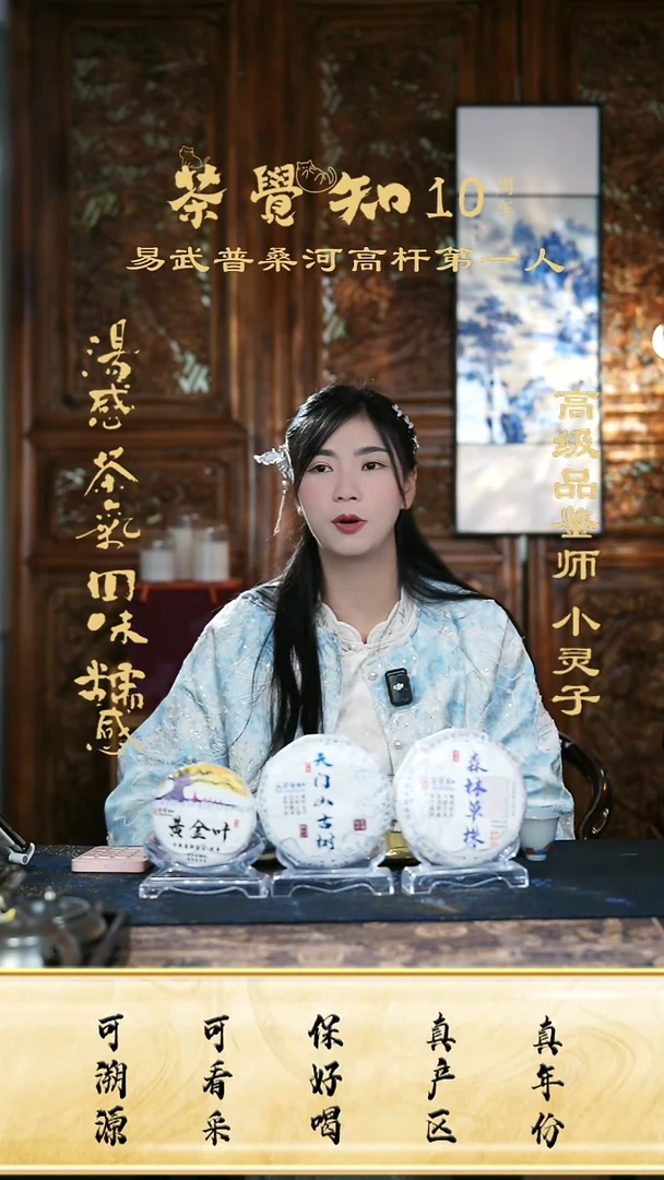 天门山古树＋忙肺单株头春古树＋千年高杆黄金叶