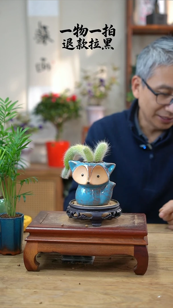 完全开放龚*九尾狐040