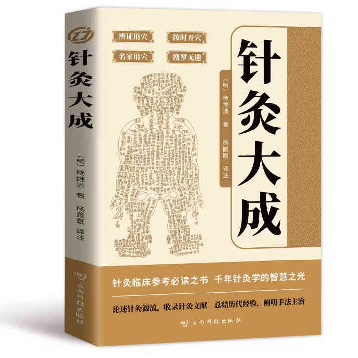 Z针灸大成 针灸临床参考必读之书 总结历代经验阐明手法主治